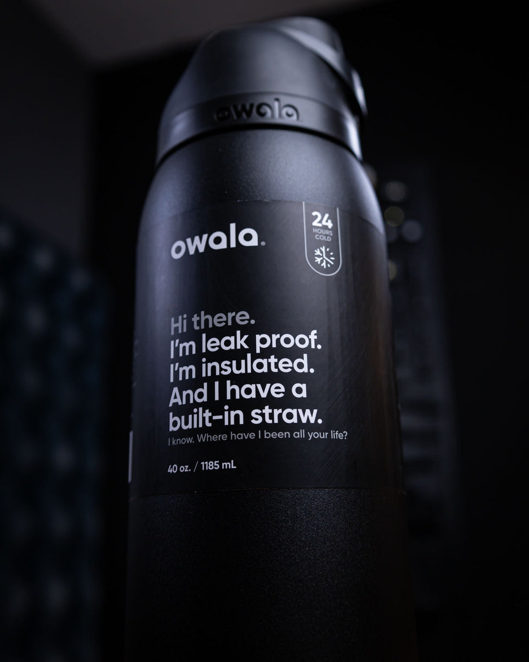 Owala FreeSip® Water Bottle (Stainless Steel) Gray