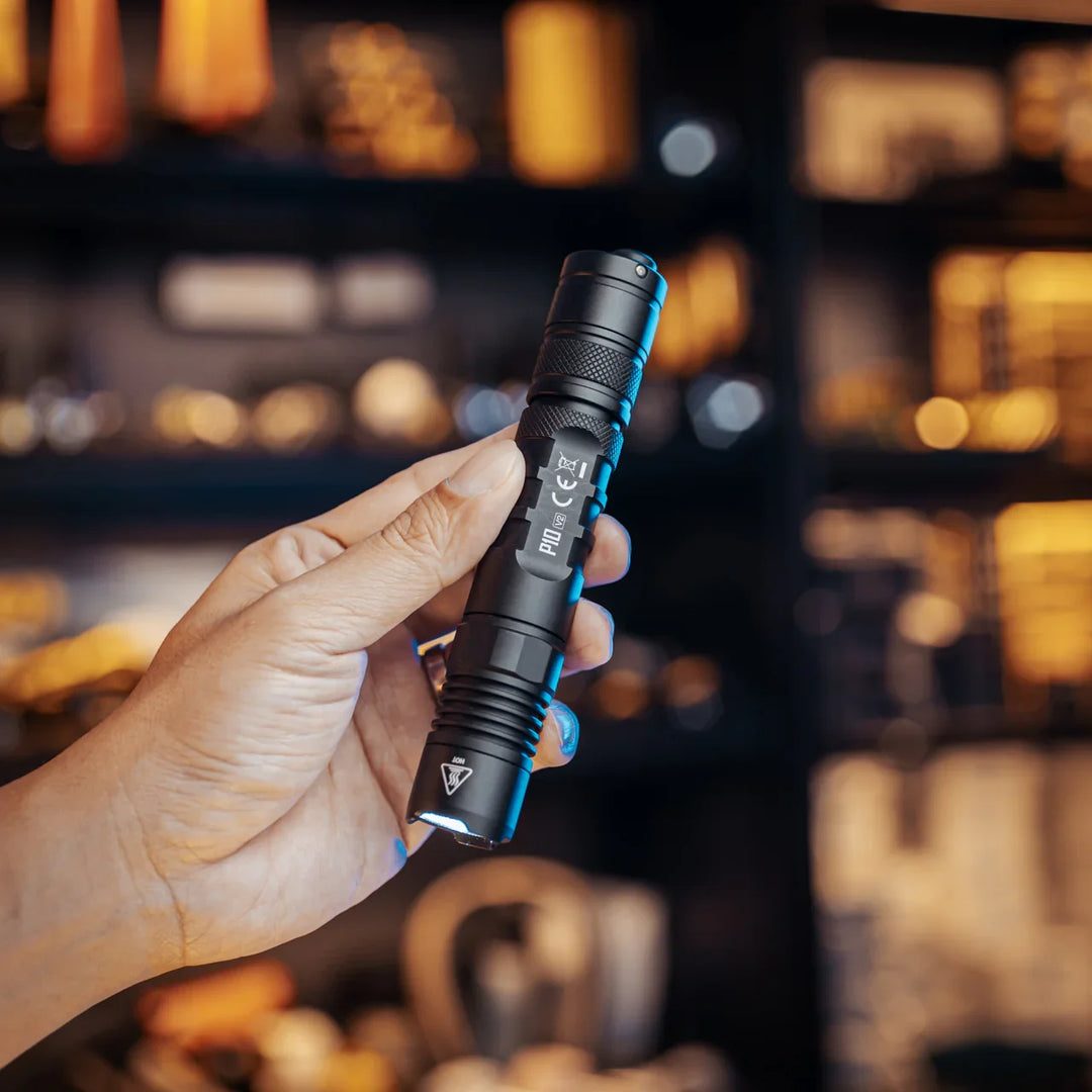 P10 V2 - 1100 lumens (Bundle)