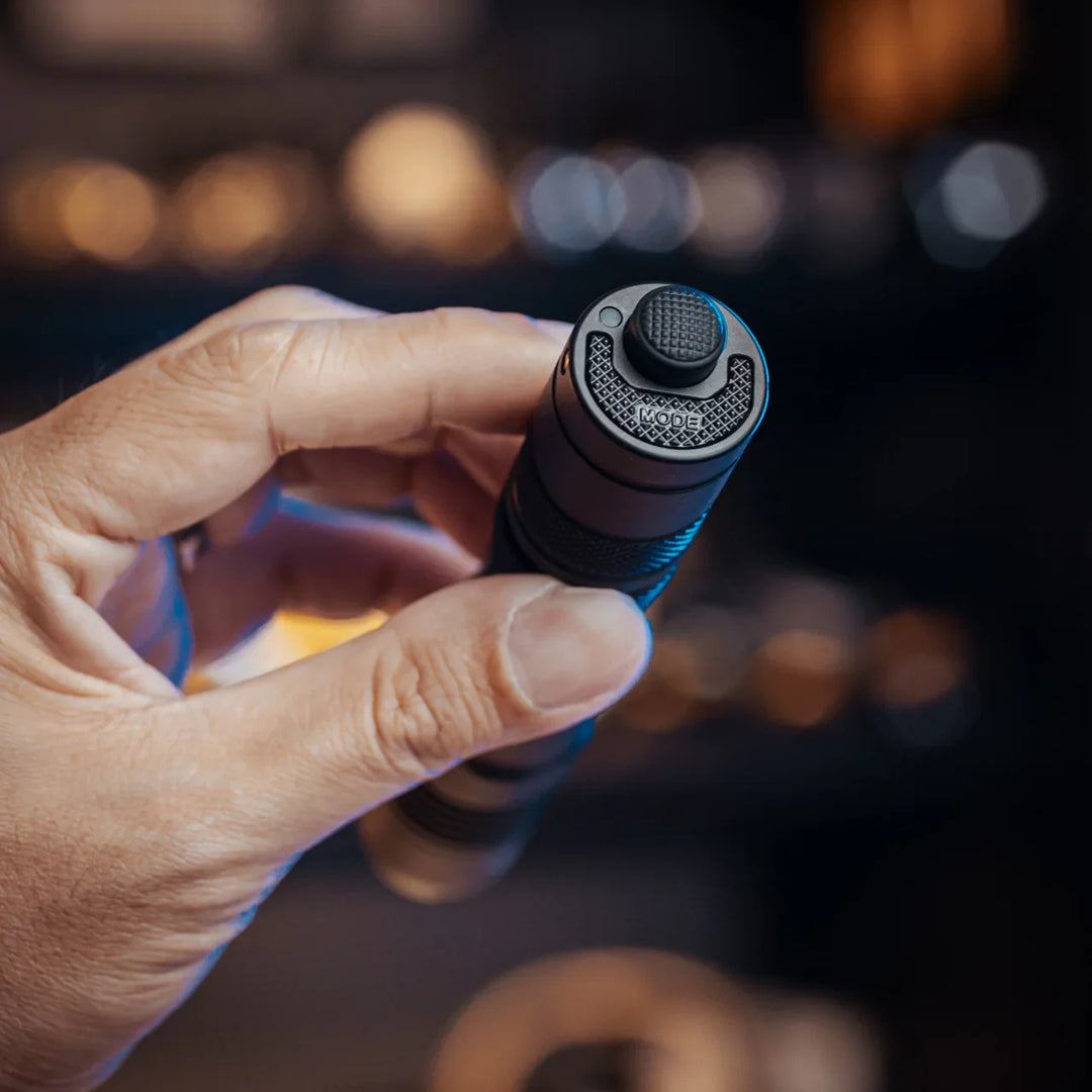 P10 V2 - 1100 lumens (Bundle)