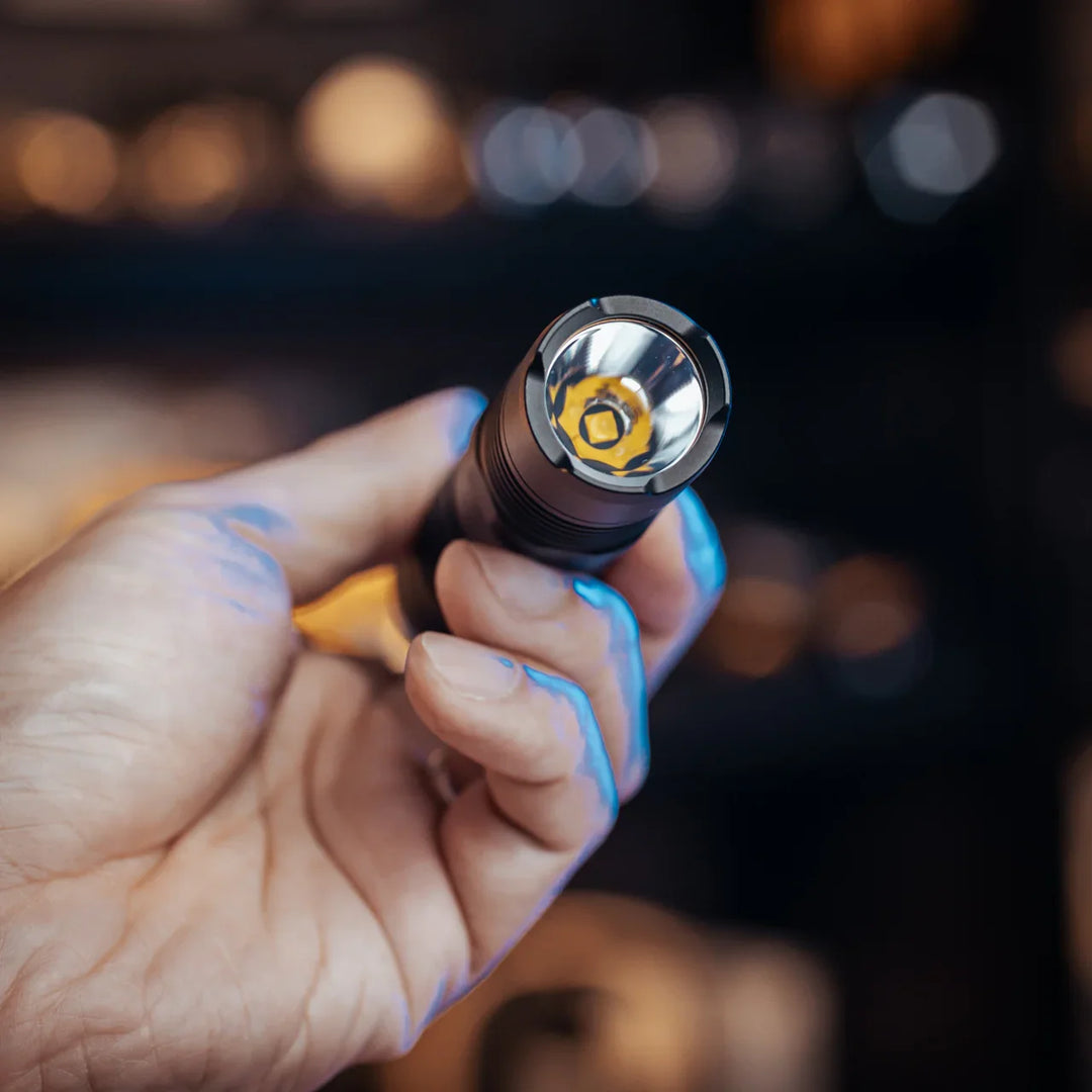 P10 V2 - 1100 lumens (Bundle)