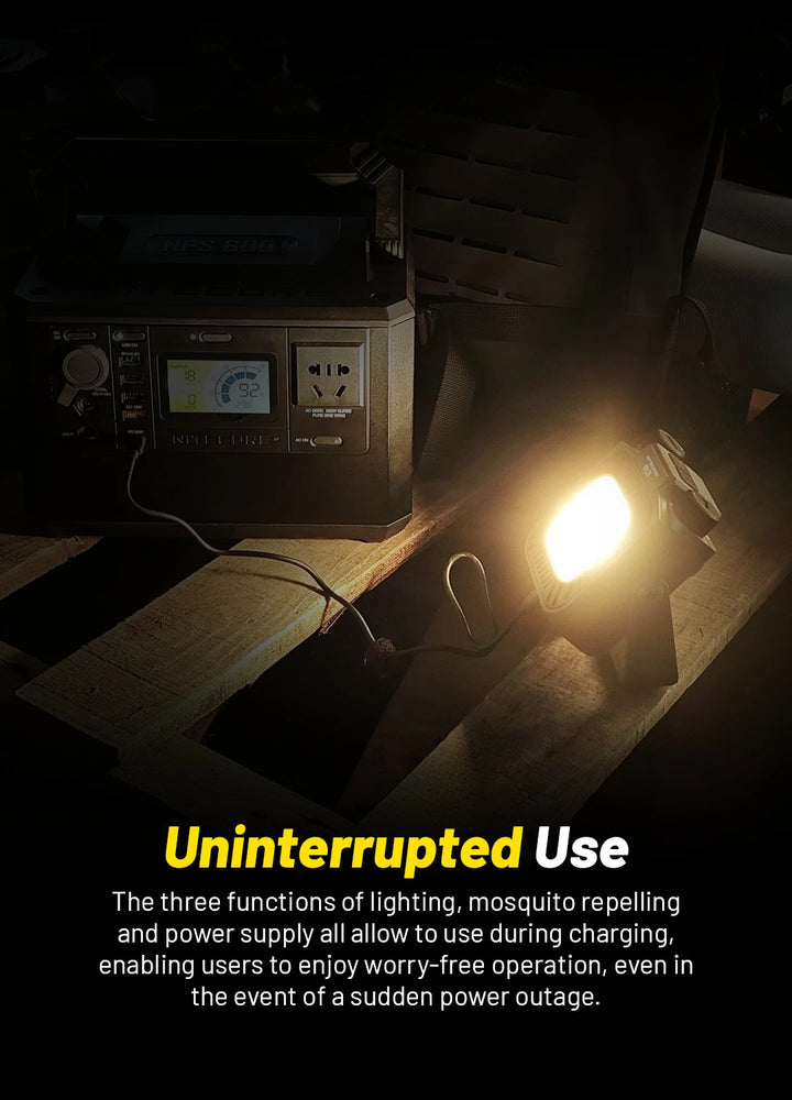 NWL30  - 300 lumens