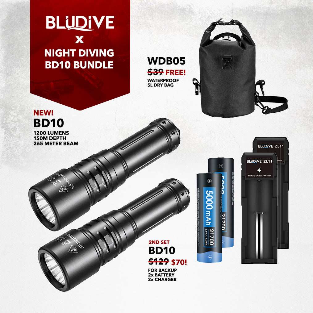BD10 - 1200 lumens (150m Dive Torch) Bundle