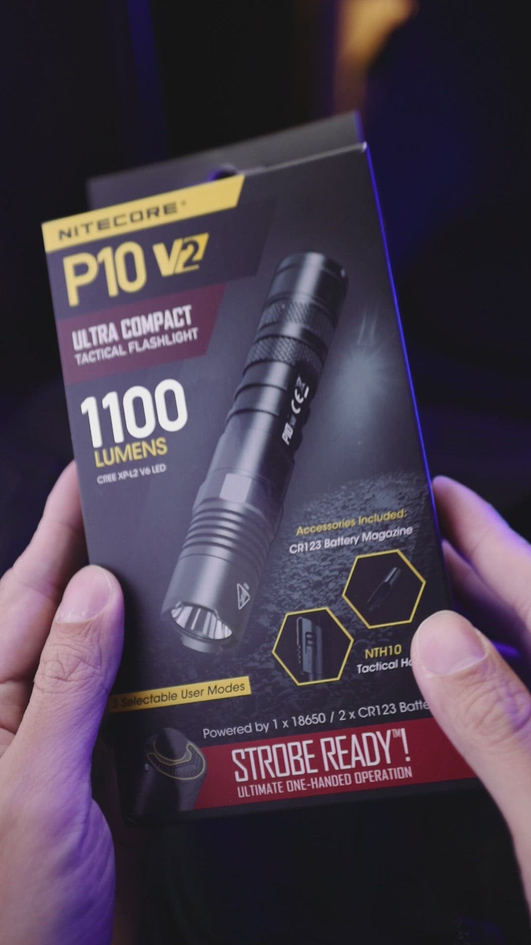 P10 V2 - 1100 lumens (Bundle)