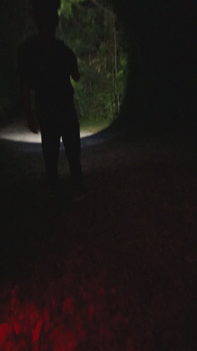 P30i - 2000 lumens